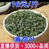 Gránulos de Hojas de Menta Remojados en Agua, Hojas de Menta Frescas, Hojas de Menta Secas Entrega al por Mayor