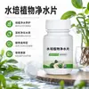 Pastillas purificadoras de agua para plantas hidropónicas cuenco de loto bambú de la suerte purificación de agua desinfección pastillas para mantener frescas las flores planta flor conservante venta al por mayor