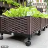 Caja de plantación de plástico estilo pastoral maceta rectangular con agujeros de drenaje para plantar verduras en el balcón engrosada