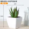 Plástico carnoso de simulación bonsái decoración de oficina escritorio adornos pequeños carnoso accesorios para fotos flores artificiales falsas