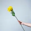 Flores Artificiales para Accesorios de Fotografía, Arreglos Florales, Bodas y Decoración del Hogar: Crisantemo, Áster, Asteraceae, Crisantemo Pinza de Cangrejo