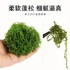 Miniatura Vid Trepadora Rama Vegetación Valla Decoración Hilo de Algodón Rama de Sauce Diario Modelo DIY Flor Vid