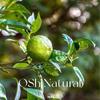 Aceite esencial de lima italiana lima aromaterapia importada cítrico planta cuidado de la piel aceite de masaje materias primas al por mayor