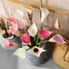 Venta de Liquidación 90% de Descuento Flores Artificiales Lirio de Calas de PU Estilo Ins de Amazon Fabricante de Suministro Transfronterizo Decoración del Hogar Celebración de Bodas
