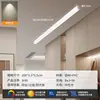 Luminária de Teto Longa Minimalista de Sobrepor para Sala de Estar, Corredor Criativo, Corredor, Varanda Ensolarada e Varanda - Modelo Novo 2026