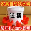 Bebedouro de frango Bebedouro automático para aves Bebedouro para pombos e frangos Tigela de água para frangos, patos e gansos Alimentador de água espessado Outros