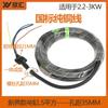 Bomba Trifásica Sumergible en Aceite Bomba de Corte para Aguas Residuales Cable de Alimentación Bomba Sumergible Cable de Tornillo de Cobre Puro Varios Cables para Bombas de Agua Grandes