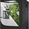 Em estoque fornecimento fábrica cabelo liso planta temperatura constante crescimento cultivo tenda