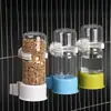 Novo Bebedouro Automático para Papagaio Suprimentos para Pássaros Garrafa de Água Alimentador Pássaros Pequenos e Garrafa de Água Bebedouro para Pássaros Pequenos Gaiola de Pássaro