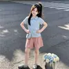 Conjunto Esportivo Casual Feminino, Estilo Verão Fino, Estilo Coreano, Gola Polo Personalizada, Manga Curta, Shorts Modernos, Conjunto de Duas Peças