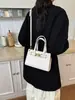Bolso cruzado de nicho coreano para mujer, bolso de hombro versátil de alta gama para el día a día, bolso de mano simple a la moda, lujo ligero