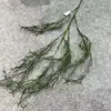 2026 Plantas Verdes Artificiales Verde Oscuro para Decoraciones de Boda, Arreglos Florales Estilo Bosque, Paisajismo de Salón de Bodas, Flores de Plástico, Hojas Verdes Oscuras Artificiales