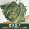 Tinta Spray para Flores, Corante Azul Gelo Triturado Ameixa, Flor de Sabão, Flor Seca, Spray de Arte Floral, Suprimentos para Floricultura Atacado