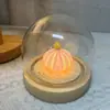 Enfeite Luminária de Concha de Ouriço do Mar, Presente de Aniversário DIY para Meninas e Namoradas, Luz de Ambiente, Presente de Ano Novo