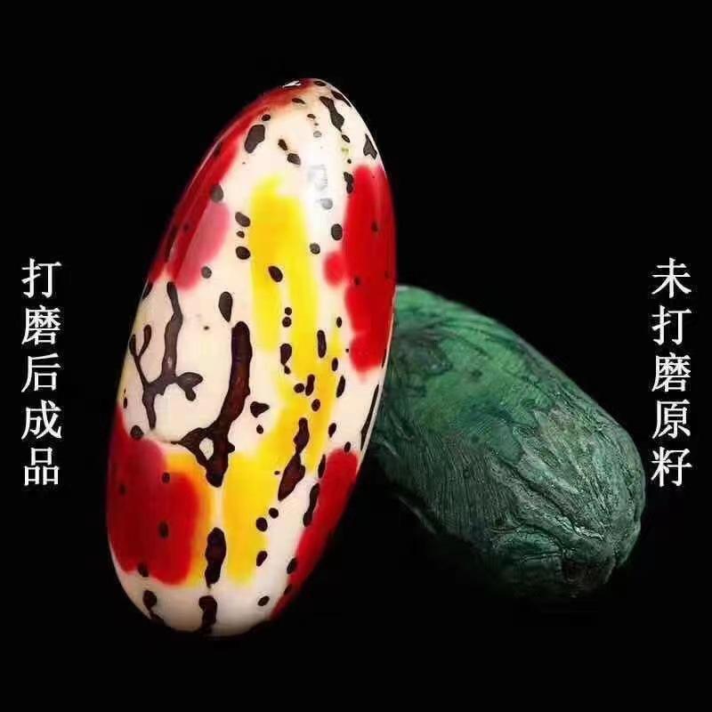 微信图片_20220706120655