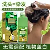BEIROU explosiones transfronterizas tinte de pelo burbuja suave norte cuidado con esencia de planta verde crema para el pelo tinte de pelo perezoso