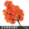 Folhas Vermelhas de Bordo Simulação Folhas de Garra de Frango Bordo Folhas de Wutong Folhas Falsas de Figueira Folhas de Ginkgo Decoração Galhos de Outono Engenharia Árvore Morta Paisagismo
