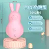 Mini Vibrador Silencioso Sedução Casal Suprimentos para Quarto Masturbador Feminino Atacado Transfronteiriço Produtos Íntimos Sexuais Adultos