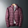 Jaqueta Masculina Leve de Penas e Algodão com Gola Alta Outono/Inverno 2024, Jaqueta Casual Quente, Casaco para Casal, Jaqueta de Inverno Tendência