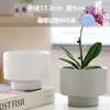 Macetas de Cerámica con Platos para Uso Doméstico al por Mayor, Macetas para Suculentas de Estilo Ins Simple Lujo Ligero Estilo Crema, Disponible para Dropshipping