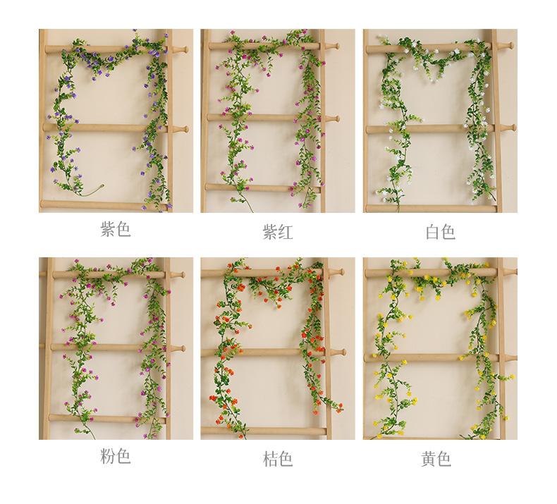 如缕6尺花藤_04.jpg