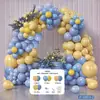 Set de Globos de Látex Amazon Transfronterizo Arreglo Personalizado para Fiesta de Cumpleaños Combinación de Cadena de Globos Arco de Globos Venta al por Mayor