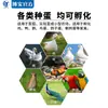 Fábrica de Comércio Exterior Marca Nova Incubadora de Aves Totalmente Automática Incubadora de Ovos de Galinha, Pato e Ganso Incubadora para Criação em Fazenda