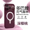 Esquema de colores minimalista de tonos fríos adecuado para la funda magnética de silicona líquida con tacto de piel biónica para Apple 18ProMax, personalizada OEM grabada