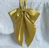 Lazo de Color Sólido Corbata de Uniforme Jk Camisa Temperamento Estilo Academia Color Básico Moda Combinable Cuello sin Corbata
