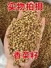Atacado de uma grande variedade de especiarias e temperos para venda ambulante, incluindo várias misturas de especiarias, sachês de tempero e marinadas, todos por um yuan