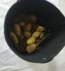 Bolsa de fieltro para plantas Bolsa para plantar patatas Cubo de fieltro para plantas Transfronterizo Bolsa para plantas Anti-rotura Planta de interior Planta en maceta