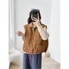 Colete Casual com Gola de Lã Sintética Imitação Retro Feminino 2026 Outono Inverno Novo Sem Mangas Quente Acolchoado Colete Curto