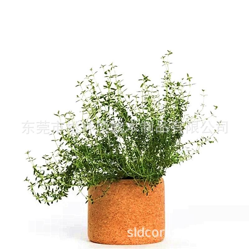 软木盆景绿植套件