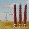 HY5WDG-17/50 pára-raios de óxido de zinco composto com stripper 10KV transformador proteção contra raios pilar pára-raios