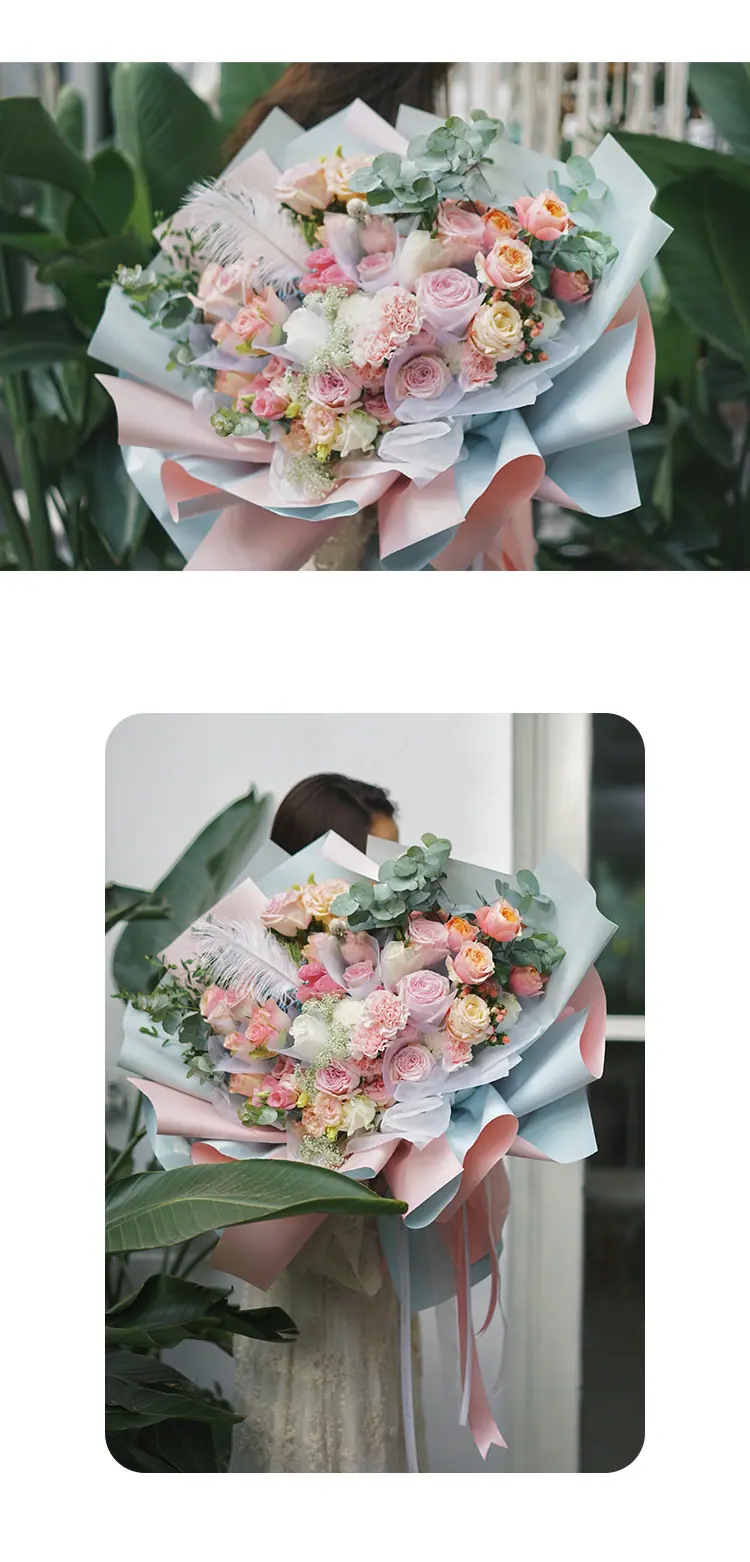双色纸_09.jpg