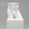 Accesorios de Modelo de Ropa Interior Torso Femenino Masculino Soportes de Exhibición de Ventana de Plástico Maniquí Apilamiento de Pecho De Zhu