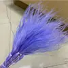Caja de regalo de flor eterna pluma pasto pelusa pasto cubierta de vidrio flor seca DIY con pasto auxiliar mayoreo