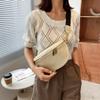 Bolsa Feminina Celebridade da Internet Bolsa de Cintura Feminina Tendência Ins Primavera Outono Verão Faixa Larga Feminina Nova Bolsa de Peito Design Feminino Transversal Versátil