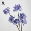 Ventas Directas de Fábrica Flores Artificiales de Lirio Clivia Ramas Decoración Accesorios para Fotografía de Bodas Accesorios para el Hogar Diseño de Exhibición