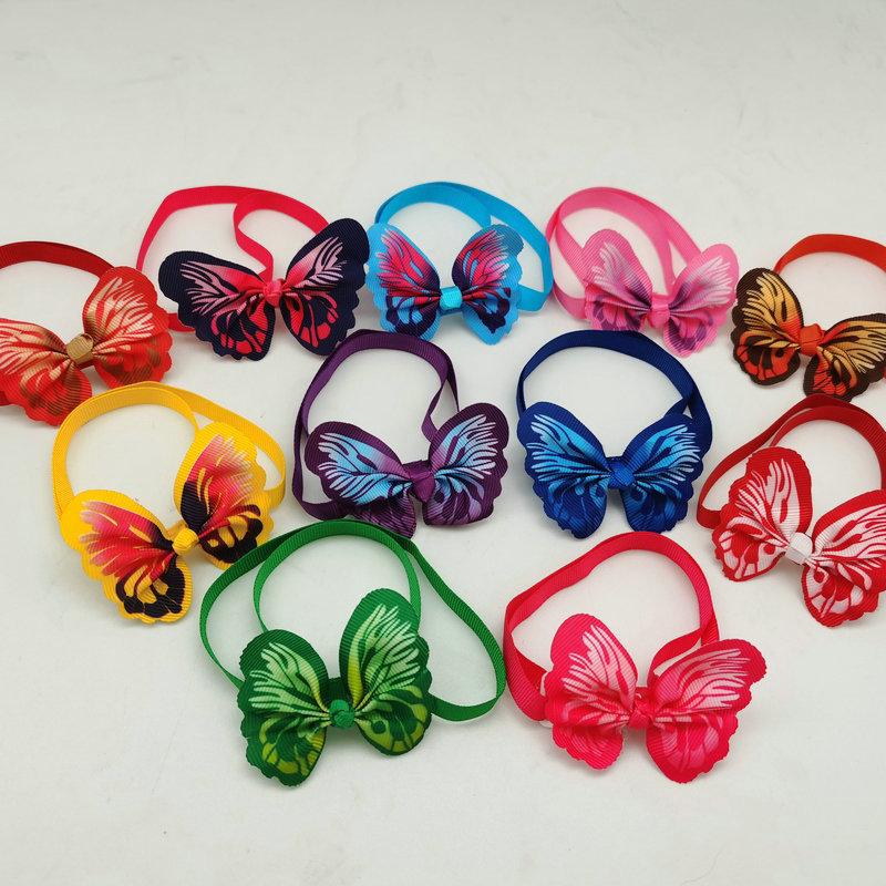 IMG_20230107_155529_副本