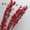Flores Eternas en Tonos Rojos, Decoraciones de Año Nuevo, Kits de Material para Ramos, Decoración para el Hogar con Ambiente, Arreglos de Boda, Accesorios de Fuegos Artificiales y Decoraciones de Conjunto