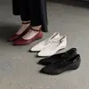 Sapatos Mary Jane confortáveis, antiderrapantes, de uma tira, em pele de carneiro, com aumento de altura, bico fino de salto médio, outono 2026, sapatos para o dia a dia para mulheres