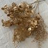 Abanico de Hojas de Hortensia Dorada Flor Artificial Decoración de Boda Cubo Hoja de Ginkgo Dorada Material de Flor de Planta Dorada