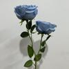 Rosas Simuladas, Flores Falsas Húmedas de Alta Gama con Dos Extremos, Accesorios de Flores Artificiales, Arreglos Florales, Decoración de Bodas y Hoteles, Fabricantes Mayoristas