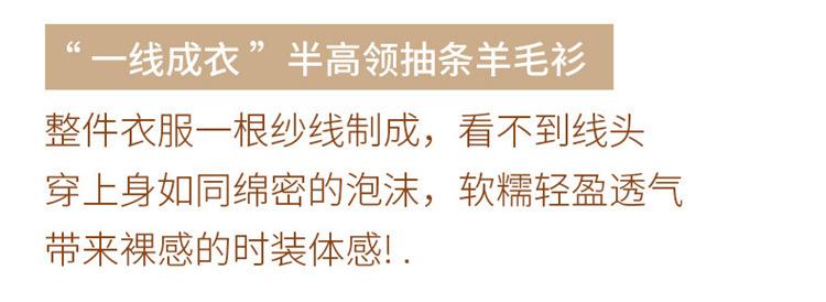 一线成衣半高领抽条_02.jpg