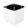 Vasos de Flores de Plástico Atacado Quadrado Auto-Absorvente Vasos de Flores Preguiçosos Pothos Suculentas Vasos de Flores Suprimentos para Flores Varanda