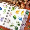 56 Transfronterizos Nuevo Retro Planta Transparente Mascotas Pegatinas Girasol Rosa Sin Repetir Realistas Pegatinas Mayoreo