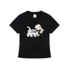 Camiseta Manga Curta Estilo Coreano Ombro Reto Bolinhas Bordado Cachorro Verão Feminino Senso de Design Emagrecedor Versátil Gola Redonda Top