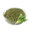 Polvo de Espinaca de Venta Cruzada en Stock, Toma Real, Sin Aditivos, Extracto de Espinaca Seleccionado por la Industria 100g Venta al por Mayor