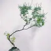 Bonsái Estilo Zen con Tocón Viejo Huangjing para Decoración de Dormitorio Interior, No Incluye Maceta